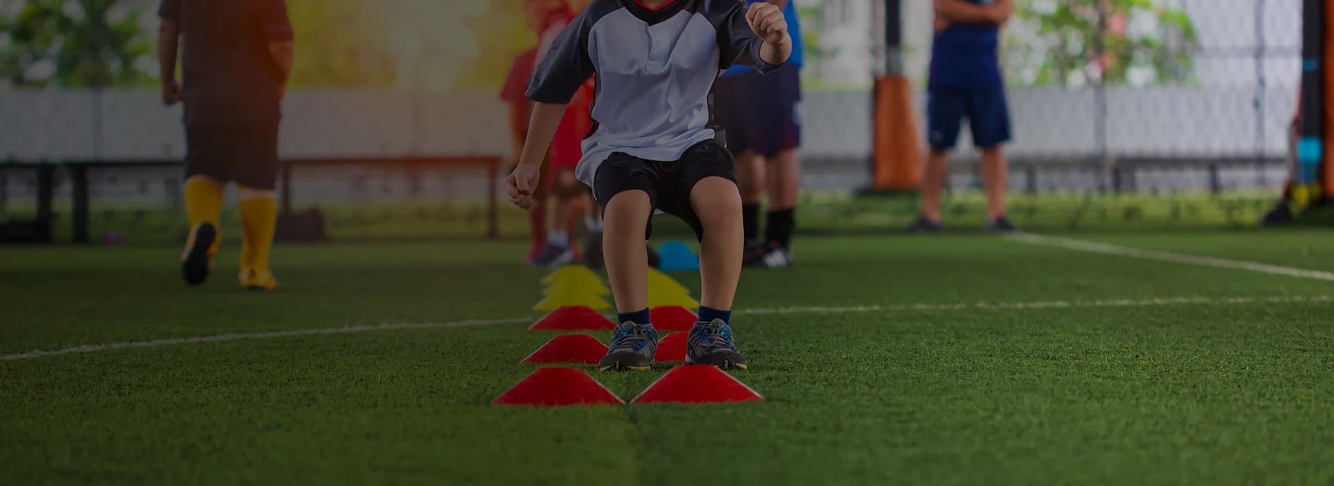 SKA Academy